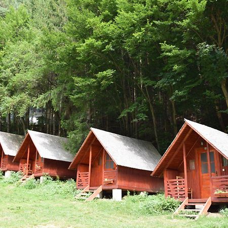 Cabanute Si Camping Dracula Capatineni-Paminteni Bagian luar foto