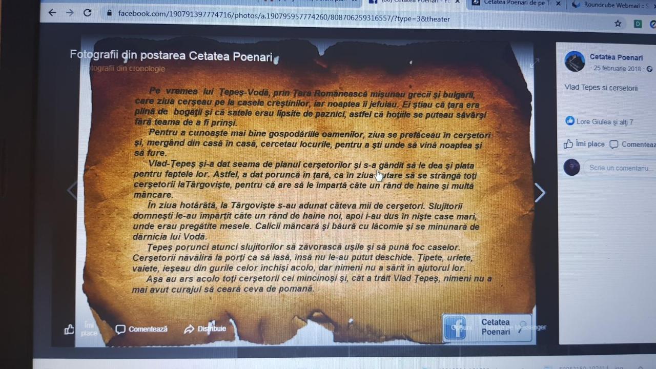 Cabanute Si Camping Dracula Capatineni-Paminteni Bagian luar foto