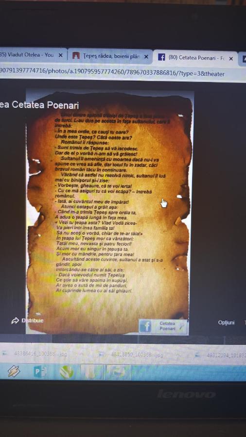Cabanute Si Camping Dracula Capatineni-Paminteni Bagian luar foto