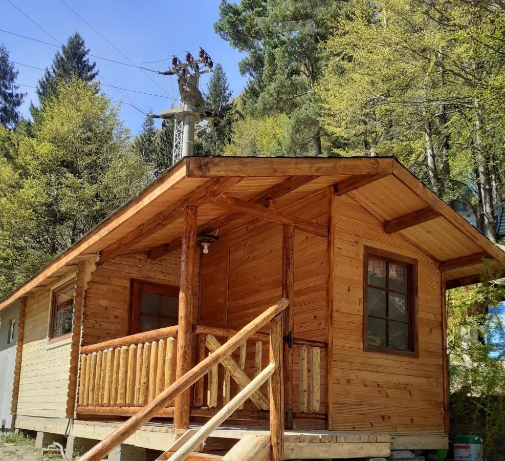 Cabanute Si Camping Dracula Capatineni-Paminteni Bagian luar foto