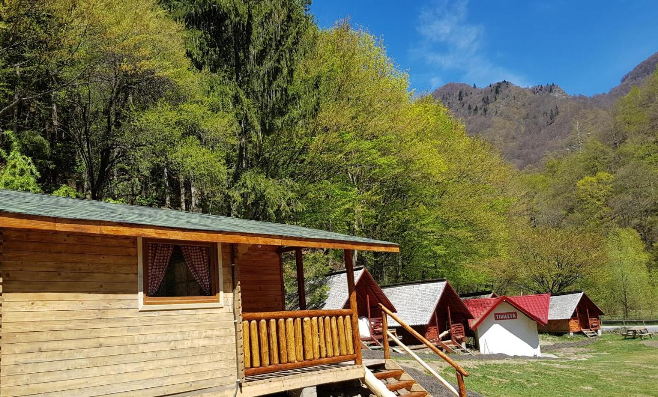 Cabanute Si Camping Dracula Capatineni-Paminteni Bagian luar foto